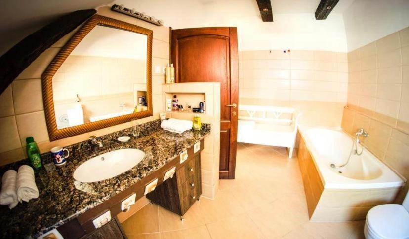 The Attic Apartamento Braşov Exterior foto